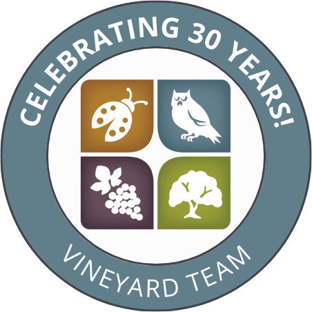 Vineyard Team 30 Year Logo
