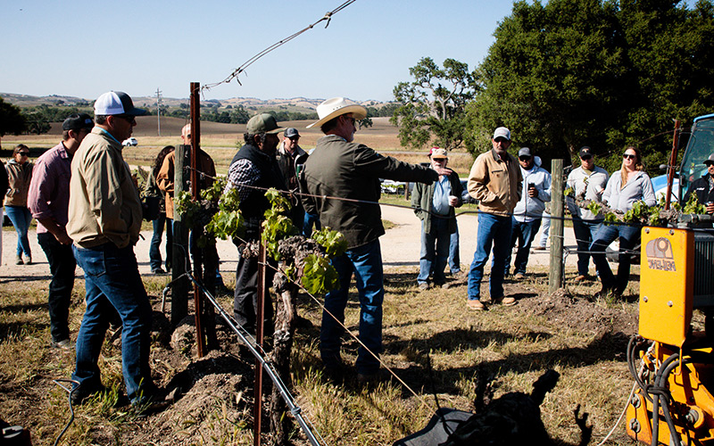 Join our sustainable wine community at Château Galoupet